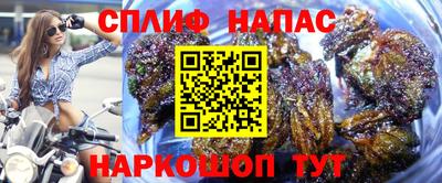 таблы Шебекино